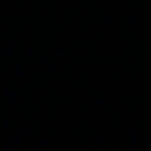 Meet your Posher, Abbey